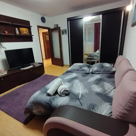 Apartment Radu's Bucharest